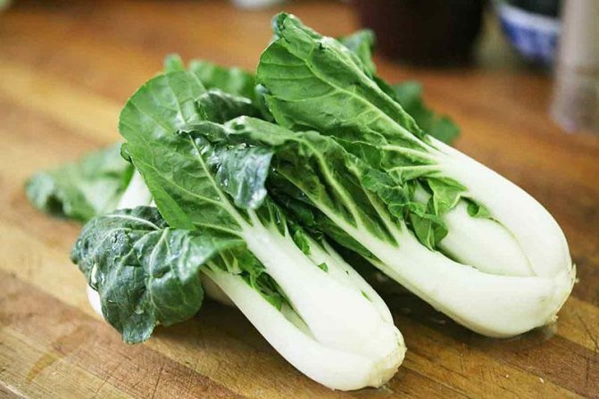 чем примечательна китайская капуста пак-чой