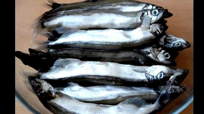 Как посолить мойву в домашних условиях вкусно быстро Важно упомянуть, что перед