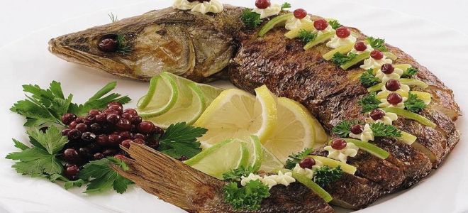 Как вкусно приготовить щуку в духовке: ТОП блюд