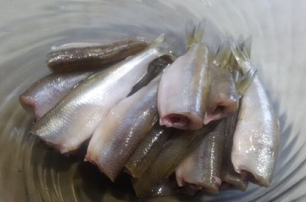 Корюшка в духовке. Рецепты приготовления с фольгой пошагово