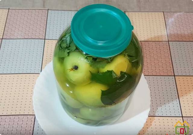 моченые яблоки с медом