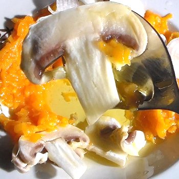 Рецепты вкусных блюд из сырых шампиньонов