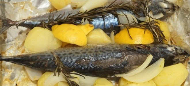 Скумбрия в духовке с картошкой в рукаве