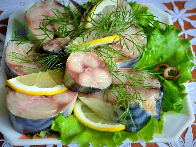 скумбрия